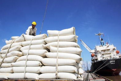 Thúc đẩy sản xuất, xuất khẩu gạo trong tình hình mới