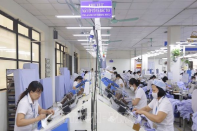 Lean Manufacturing: Khi Link Đăng Nhập Nhà cái 13Win16.Com buộc phải 'cắt bỏ phần thừa' để tồn tại