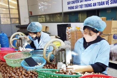 Từ sản lượng đến giá trị: Bước chuyển của Đăng ký và nhận 60K 24 bao lì xì miễn phí mỗi ngày thời công nghệ