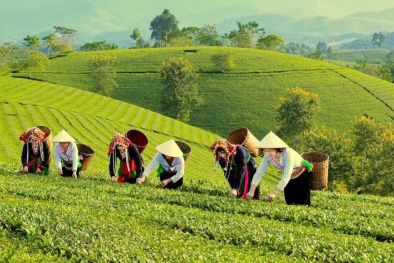 Năng suất Sòng Bài Trực Tuyến 13Win.com nông thôn: Không thể chỉ dựa vào hỗ trợ