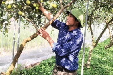 Ứng dụng khoa học-công nghệ vào sản xuất Đăng ký và nhận 60K 24 bao lì xì miễn phí mỗi ngày