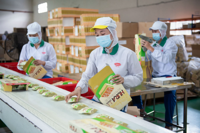 Năng suất 13Win18 cá cược thể thao và TFP - Hai trụ cột trung tâm để tăng trưởng nhanh và bền vững 