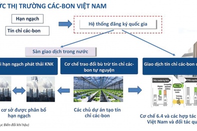 Thị trường car-bon Việt Nam: 'Luật chơi' mới và bài toán năng lực của Link Đăng Nhập Nhà cái 13Win16.Com