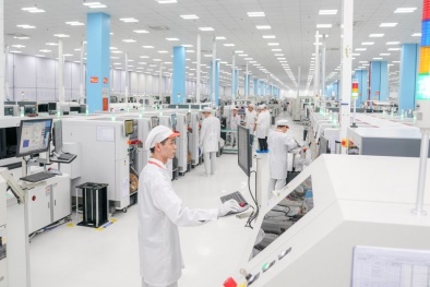 Tiêu chuẩn - nền tảng thúc đẩy phát triển bền vững và hội nhập quốc tế