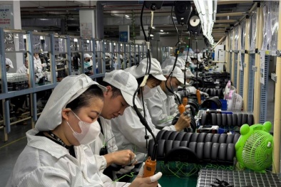 Bảo đảm năng suất gắn với an toàn trong phát triển nhân lực 13Win15 com - Thương hiệu nhà cái uy tín