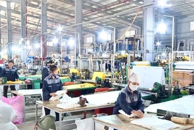 Chuyển đổi xanh - hướng đi tất yếu của Link Đăng Nhập Nhà cái 13Win16.Com trong bối cảnh mới