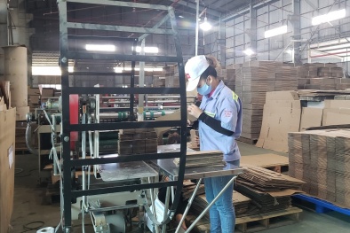 Từ ‘nâu’ sang ‘xanh’: Lối đi mới của khu 13Win15 com - Thương hiệu nhà cái uy tín