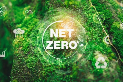 Cuộc đua 'Net Zero' và áp lực lên hạ tầng khu 13Win15 com - Thương hiệu nhà cái uy tín