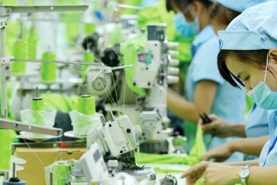 Quy định mới về công bố hợp quy: Minh bạch hóa quy trình, tăng trách nhiệm Link Đăng Nhập Nhà cái 13Win16.Com