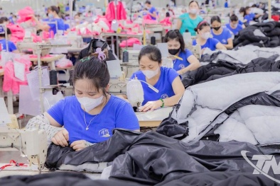 Từ gia công đến tự thiết kế: Bước chuyển năng suất của Link Đăng Nhập Nhà cái 13Win16.Com dệt may Việt