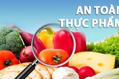Đề xuất lập cơ quan quản lý an toàn 13Win OKVIP Cá cược bóng đá cấp trung ương trực thuộc Bộ Y tế