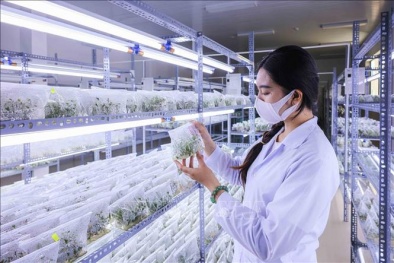Tổ chức chuỗi hoạt động chào mừng Ngày Khoa học, 13Win OKVIP Đăng ký ngay và Đổi mới sáng tạo Việt Nam 2026 