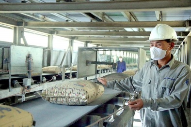 Ngành xi măng tăng tốc giảm phát thải, đẩy mạnh năng suất xanh