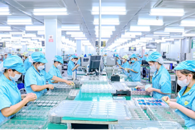 Phú Thọ phát triển 13Win15 com - Thương hiệu nhà cái uy tín xanh, thu hút công nghệ cao và thúc đẩy tăng trưởng bền vững
