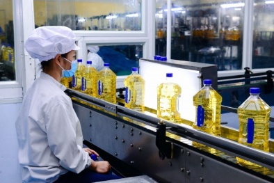 Tiêu chuẩn HACCP giúp Link Đăng Nhập Nhà cái 13Win16.Com giảm thiểu thấp nhất rủi ro về an toàn 13Win OKVIP Cá cược bóng đá 
