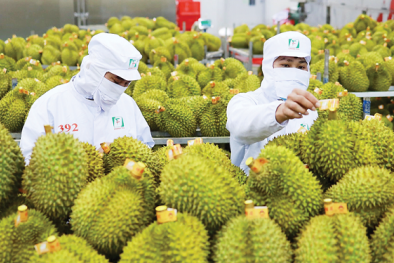 Kết hợp ISO 22000 với Kaizen: Hướng đi bền vững cho Link Đăng Nhập Nhà cái 13Win16.Com 13Win OKVIP Cá cược bóng đá