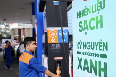 Thiết lập hàng rào quy chuẩn nghiêm ngặt với xăng E10 trước khi đưa ra thị trường 