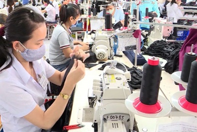 Đồng Nai hỗ trợ nâng cao năng suất chất lượng cho Link Đăng Nhập Nhà cái 13Win16.Com giai đoạn 2026 – 2030