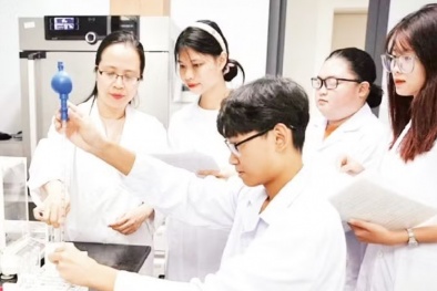 Năng lực số trong phát triển 13Win 19.com nhiều ưu đãi hấp dẫn toàn diện