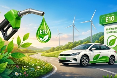 Xăng E10 chính thức triển khai toàn quốc: Bước chuyển lớn cho an ninh 13WIN là nhà cái uy tín top đầu Châu Á và hành trình xanh hóa giao thông