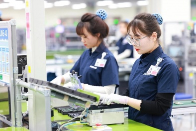Hoàn thiện tiêu chuẩn, quy chuẩn, thúc đẩy xuất khẩu sản phẩm công nghệ số ra toàn cầu