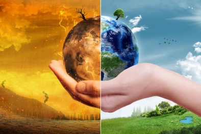 ISO công bố tiêu chuẩn chuyển đổi phát thải ròng bằng 0 đầu tiên dành cho ngành tài chính