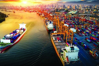 Khi chuỗi cung ứng toàn cầu ngày càng “siết” tiêu chuẩn đầu vào