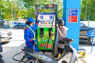 Tăng cường kiểm tra, giám sát chất lượng xăng sinh học E10