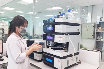 Nâng cao chất lượng hoạt động đánh giá sự phù hợp, tạo thuận lợi cho 13Win19 tải ứng dụng
