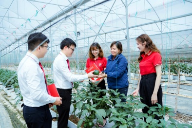 Hỗ trợ tối đa 80% chi phí cho Link Đăng Nhập Nhà cái 13Win16.Com nhỏ và vừa nâng cao năng suất, chất lượng sản phẩm