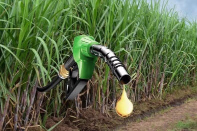 Nhật Bản đề xuất tiêu chuẩn khí thải mới cho nguyên liệu ethanol nhập khẩu 
