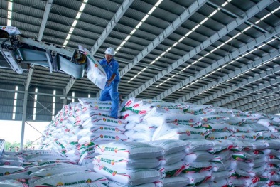 Ngành phân bón trước yêu cầu tái cấu trúc để phát triển bền vững