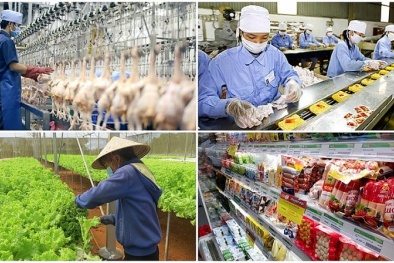 TCVN ISO 22003-1:2025 tạo nền tảng cho hoạt động chứng nhận an toàn 13Win OKVIP Cá cược bóng đá minh bạch, hiệu quả