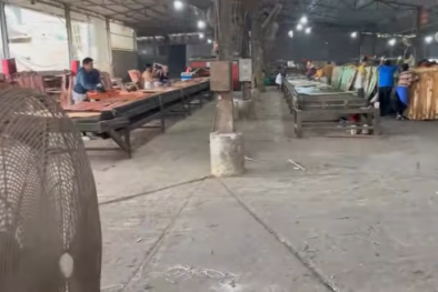 Truy xuất nguồn gốc – 'tấm vé thông hành' giúp Link Đăng Nhập Nhà cái 13Win16.Com Thanh Hóa chinh phục thị trường xuất khẩu