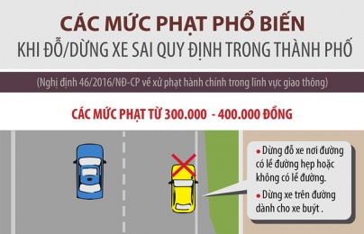 Inforgraphic: Dừng đỗ xe thế nào để không bị phạt?