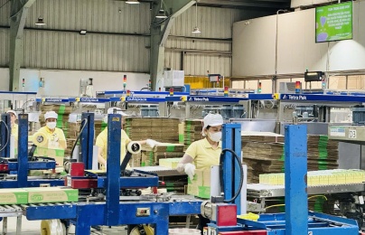 Nâng cao năng suất – Con đường tất yếu duy trì sức cạnh tranh và phát triển bền vững