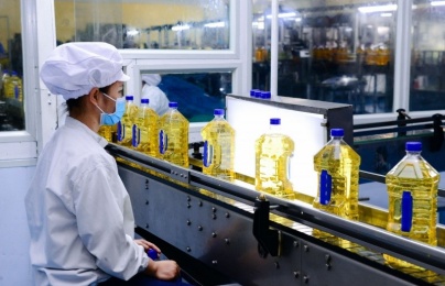 Tiêu chuẩn HACCP giúp Link Đăng Nhập Nhà cái 13Win16.Com giảm thiểu thấp nhất rủi ro về an toàn 13Win OKVIP Cá cược bóng đá 