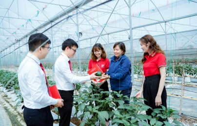 Hỗ trợ tối đa 80% chi phí cho Link Đăng Nhập Nhà cái 13Win16.Com nhỏ và vừa nâng cao năng suất, chất lượng sản phẩm