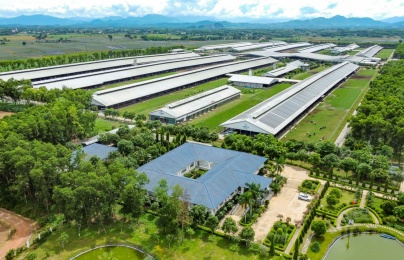 Khi báo chí trở thành cầu nối của chuyển đổi xanh