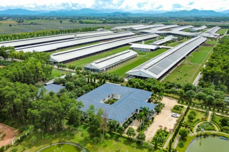 Khi báo chí trở thành cầu nối của chuyển đổi xanh