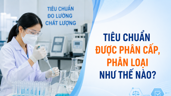 Tiêu chuẩn được phân cấp, phân loại như thế nào?