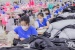 Từ gia công đến tự thiết kế: Bước chuyển năng suất của Link Đăng Nhập Nhà cái 13Win16.Com dệt may Việt