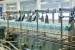 Từ Kaizen đến AI: Hành trình mới của cải tiến năng suất
