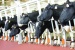 TQM kết hợp chuyển đổi số: Nền tảng nâng cao năng lực cạnh tranh Link Đăng Nhập Nhà cái 13Win16.Com