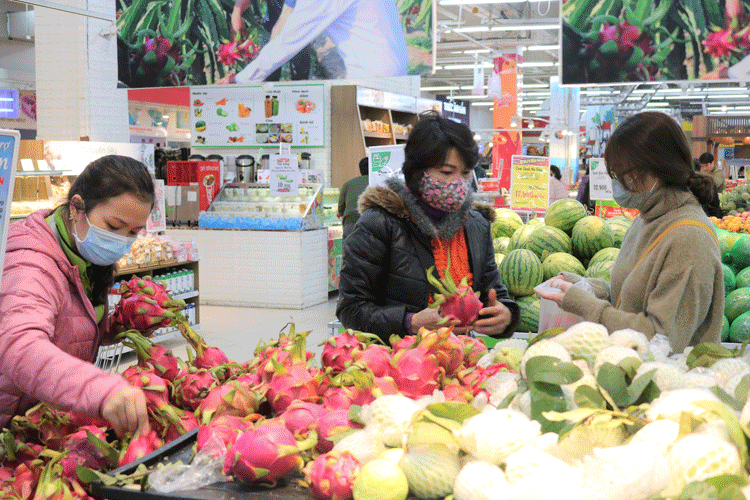 Chung tay hỗ trợ nông dân các tỉnh thành trồng thanh long và dưa hấu