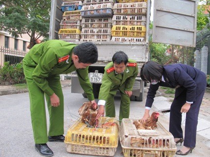 G&agrave; lậu bị thu giữ