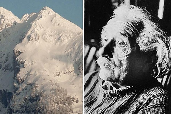 Khu&ocirc;n mặt tr&ocirc;ng giống hệt nh&agrave; vật l&yacute; Albert Einstein