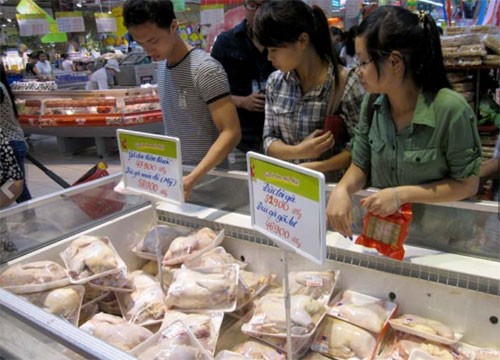Gia cầm nhập lậu đang trở th&agrave;nh mối đe dọa với ng&agrave;nh chăn nu&ocirc;i