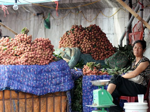 C&ocirc;ng nghệ giữ tươi đến 10 năm