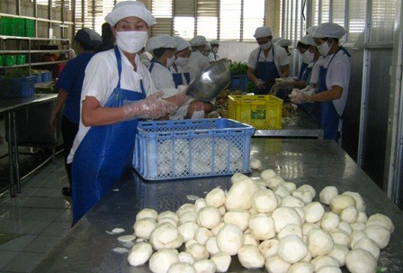 Ăn g&igrave; để kh&ocirc;ng bị tr&uacute;ng độc đang l&agrave; nỗi lo của cộng đồ